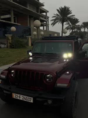 جيب كلاديتر
