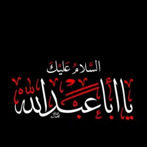 Ahmed 