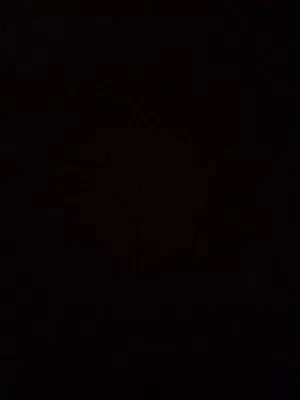 بيتوفر بيض عماني مخصب قريبا