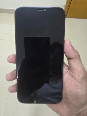 iPhone 12 Pro Max(256gb)