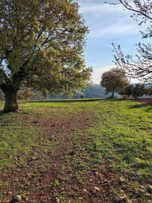 Mixed Use Land for Sale in Irbid Hartha