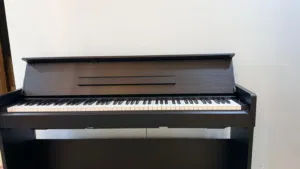 Yamaha arius slim series YDPS-35