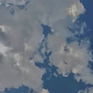 الظاهري 