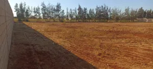 ارض طينية5000م
