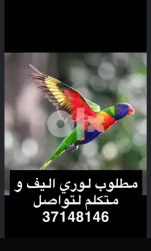 مطلوب لوري او متو