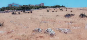 Mixed Use Land for Sale in Ajloun A'anjara