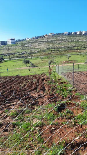 Residential Land for Sale in Jerash Other