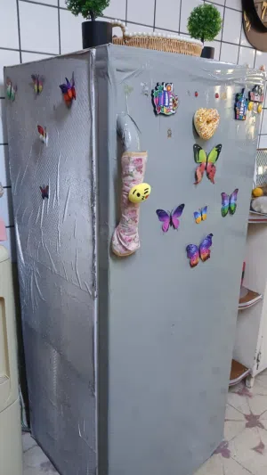 ثلاجة لون رصاصي