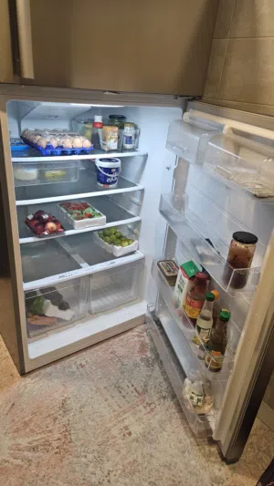 Refrigerator & Electric oven