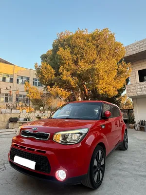 حرق-حرق-حرق-كايا-سول-2016-ولا-ضربة-قارن-الاسعار