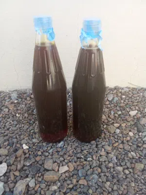 السلام عليكم ورحمه الله وبركاته يوجد عسل برم سمر اصلي جبلي وفي عسل سدر اصلي