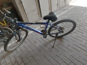 سيكل سوبرت