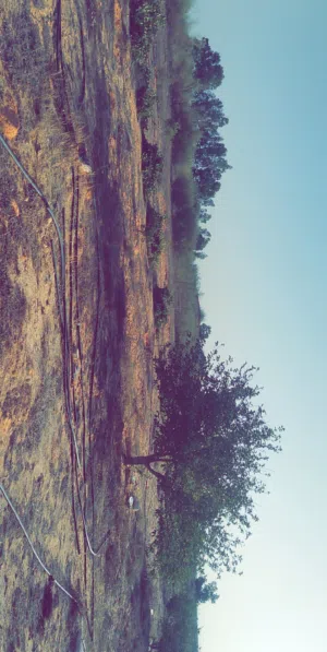 ارض لي البيع تاجوره اسطرنه