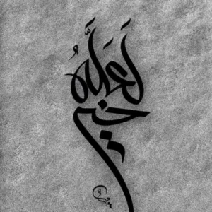 Ahmed bin Mohamed 
