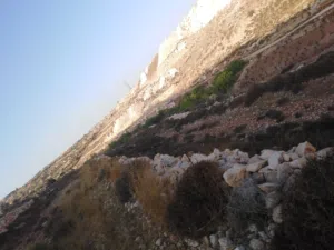 Mixed Use . 977 m2 . Landlord3