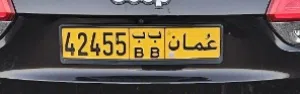 لوحه مميزه للبيع
