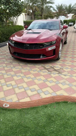 Used Chevrolet Camaro in Al Ain