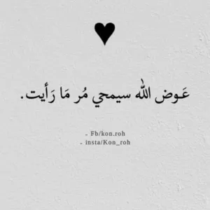 شهاب النسيري 