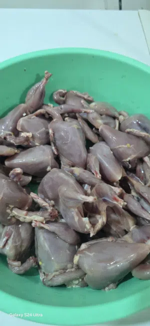 سمان جامبو - تربية فاخرة! لحم طري، طازج، وطعم مميز. نظافة فائقة وجاهز للطبخ متوفر