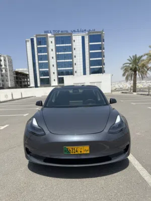 2023 Tesla Model 3 Long Range Electric Sedan in Nardo Grey – Excellent Used Condition