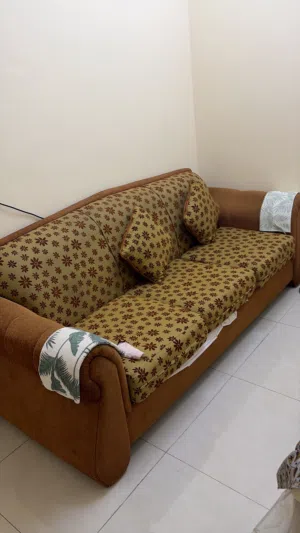 Sofa set 3+1+1 with center table,single cot bed with mattress