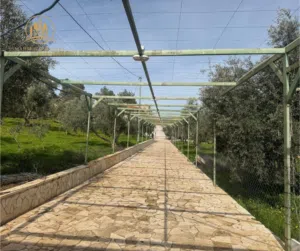 Farm Land for Sale in Mafraq Rhab