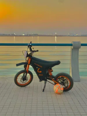 Kugoo wish 01 only 250 km