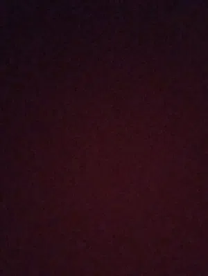 Apple iPhone XS Other in Amman