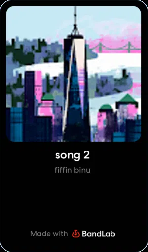 Fiffin Mathew Binu 
