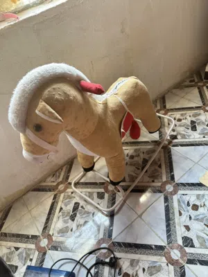 حصان للبيع جديد