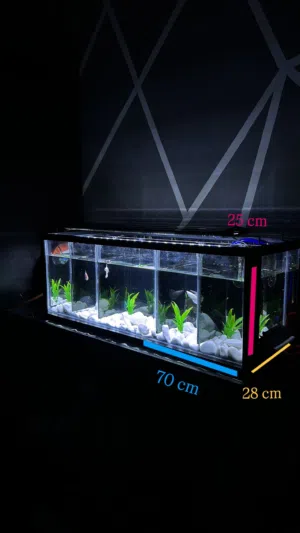 حوض سمك مع اقسام لسمك بيتا او فايتر  Aquarium with compartments for betta or betta fish