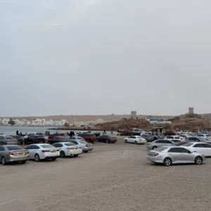 حمد الضاوي 