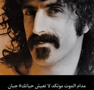 اسكندرايزر ويلموني