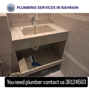 plumber and electric work