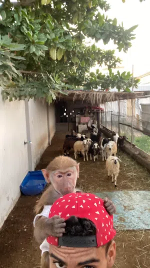 للـبيع لك رغبه تواصل ع الواتساب