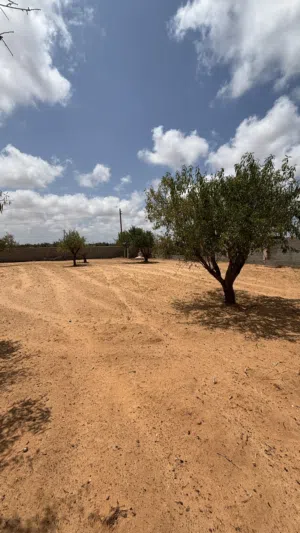 أرض للبيع في الباعيش