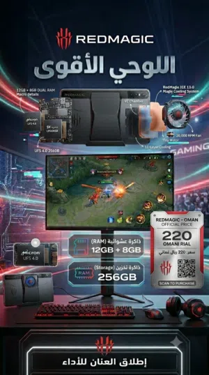 Others Not Defined 256 GB in Al Dakhiliya