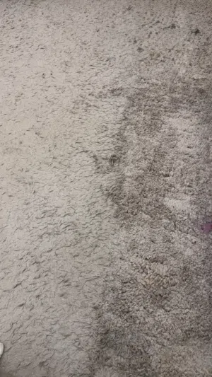 موكيت سومو ثقيل (شاقي)