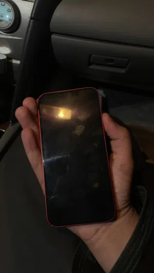 Apple iPhone 13 128 GB in Al Batinah