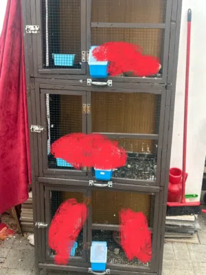 محكر وقفص كبير للبيع