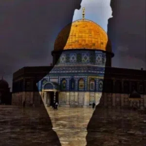 Ahmad alsilaweey 