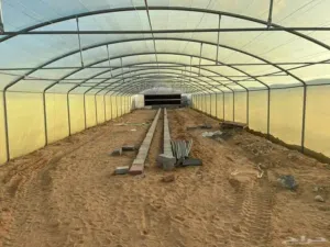 تركيب الصوب الزراعية والبيوت المحمية بأفضل المواصفات وأقل الأسعار!