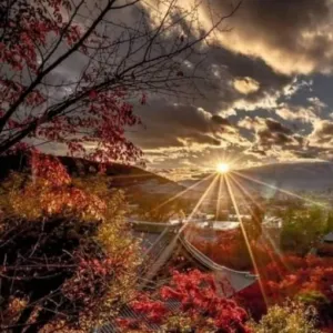 أنسب أسعارنا