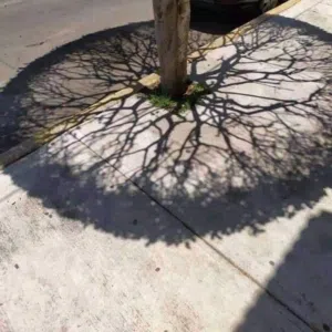yes 