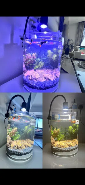 Aquarium 2 Months used URGENT SALE