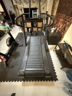Afton Curved Treadmill