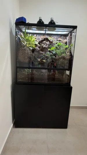 للبيع بايوفيفاريوم (Bio Vivarium) متكامل وعمره سنة كاملة