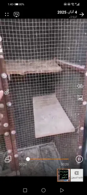 مطير حديد للبيع