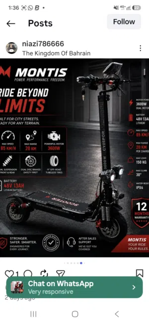 Electric scooter for