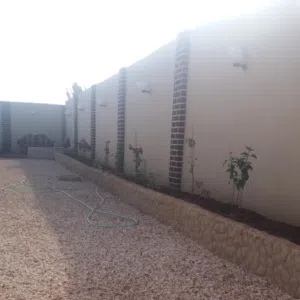 محمد العماري 
